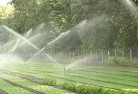 Laughtondalelandscaping-water-management-and-drainage-17.jpg; ?>